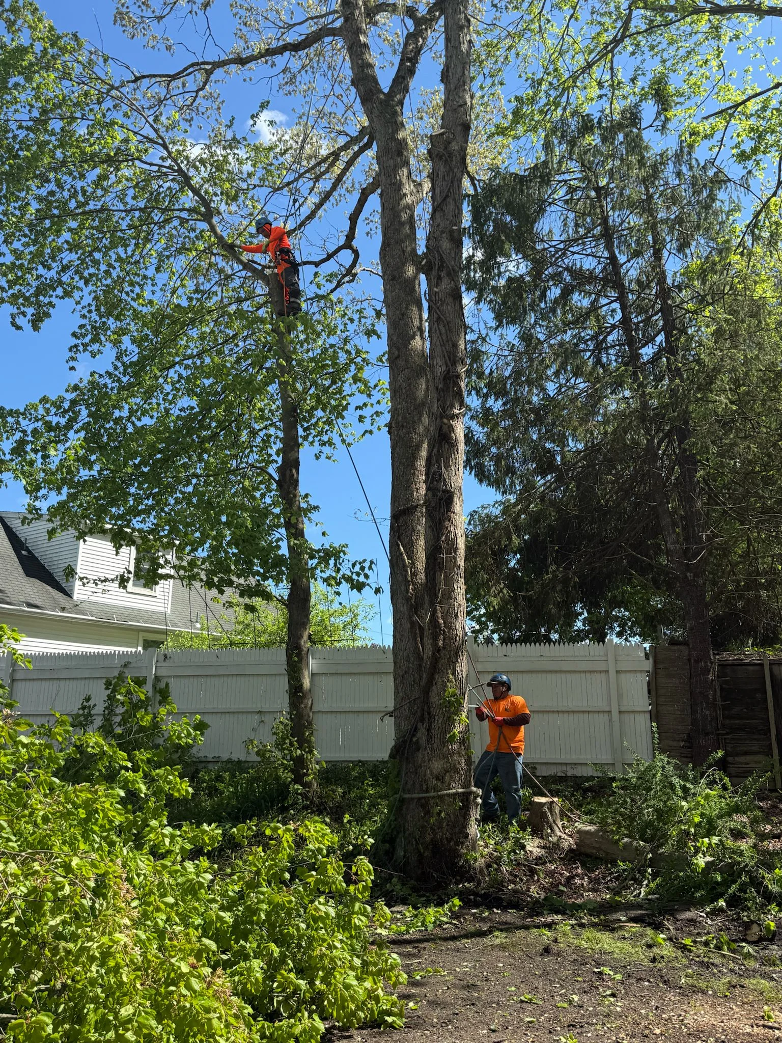 5e10a966-882c-4552-9afc-05a04ff83618